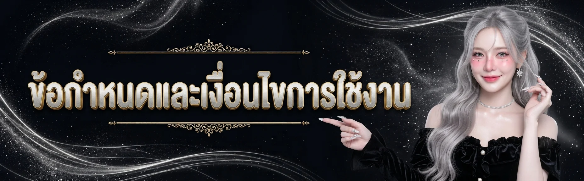 ข้อกำหนดและเงื่อนไขการใช้งาน